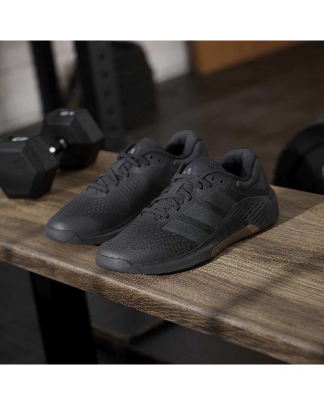 Adidas Blue Training Shoes for men