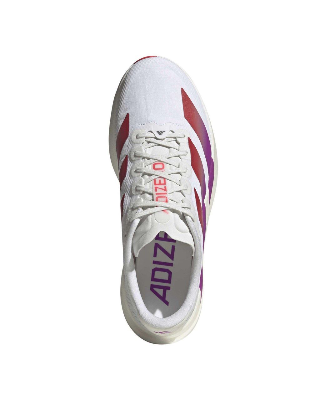 Adidas Purple Adizero Evo Sl Shoes for men