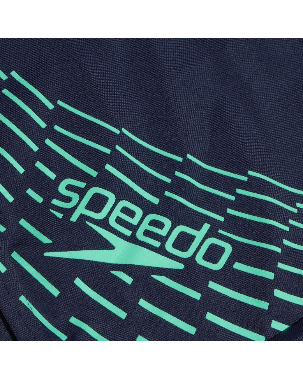 Speedo Blue Medley Logo Swim Shorts for men