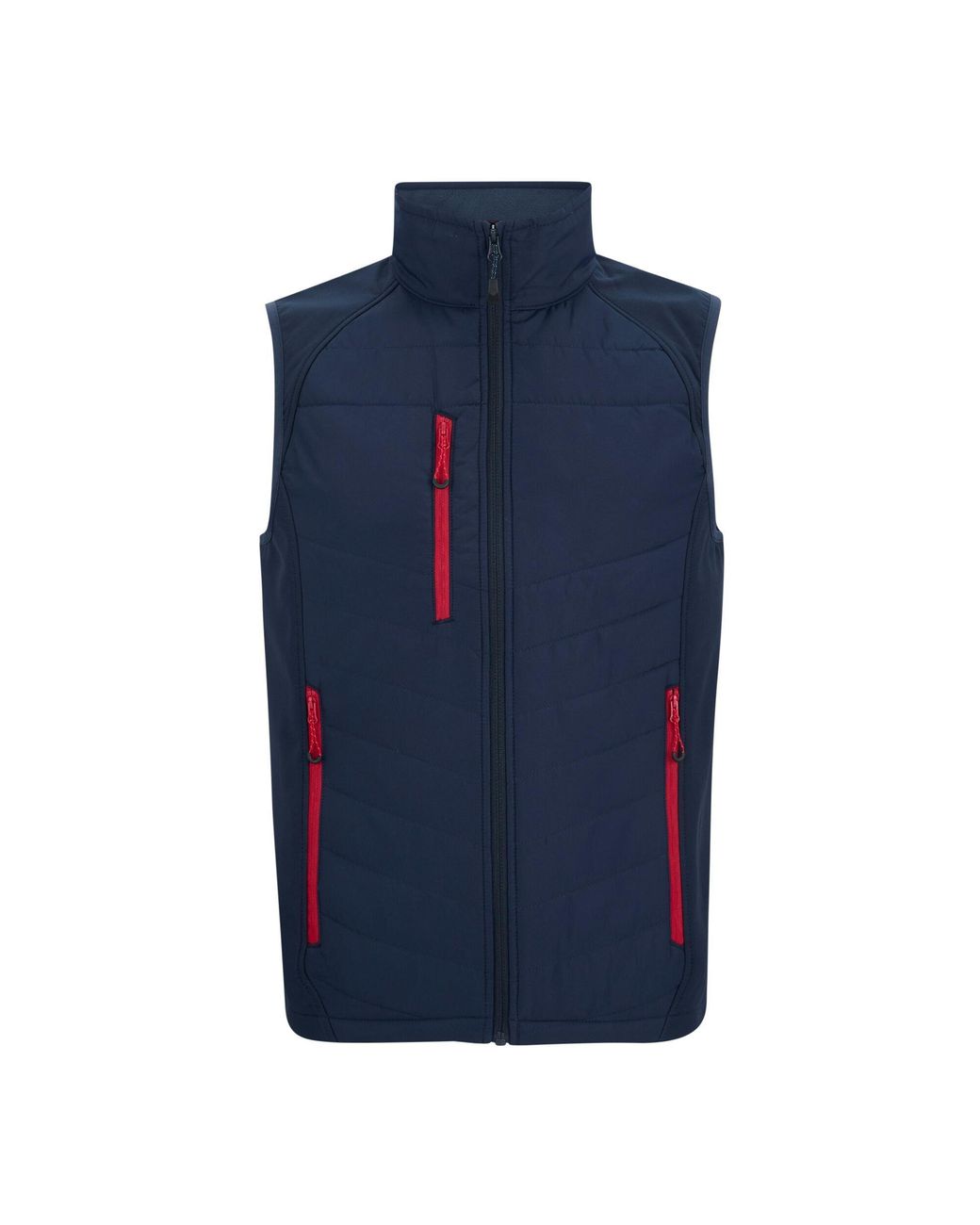Regatta Blue Pro Universal Bodywarmer for men