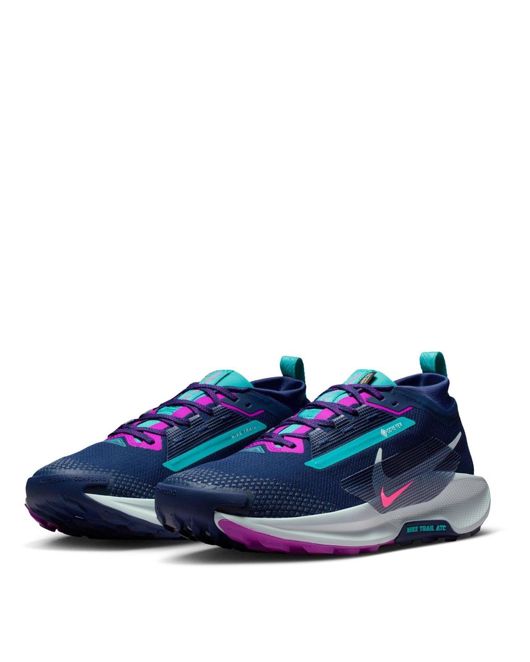 Nike Blue Pegasus Trail 5 Gore-Tex Waterproof Trail Running Shoes for men