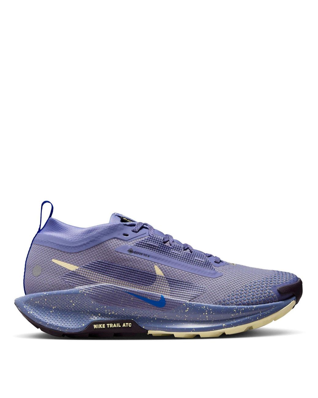 Nike Blue Pegasus Trail 5 Gore-Tex Running Shoes