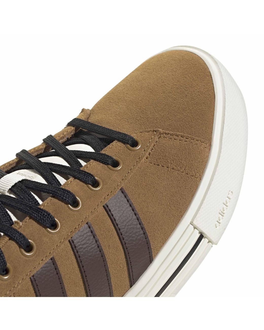 Adidas Brown Daily 4.0 Court Trainers for men