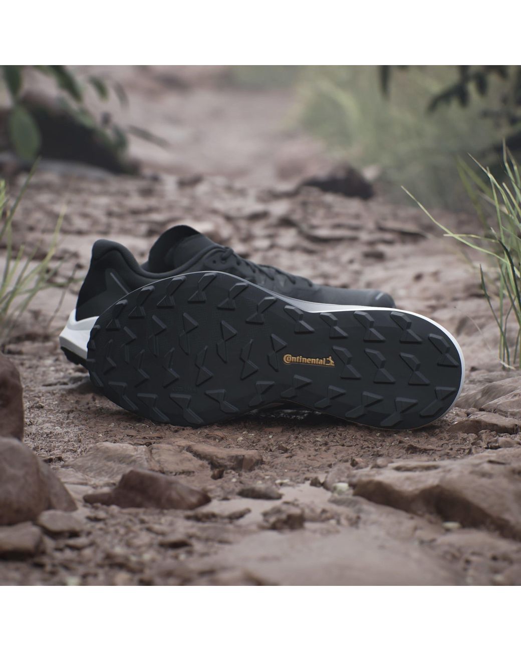Adidas Black Terrex Agravic 3 Trail Running Shoes for men