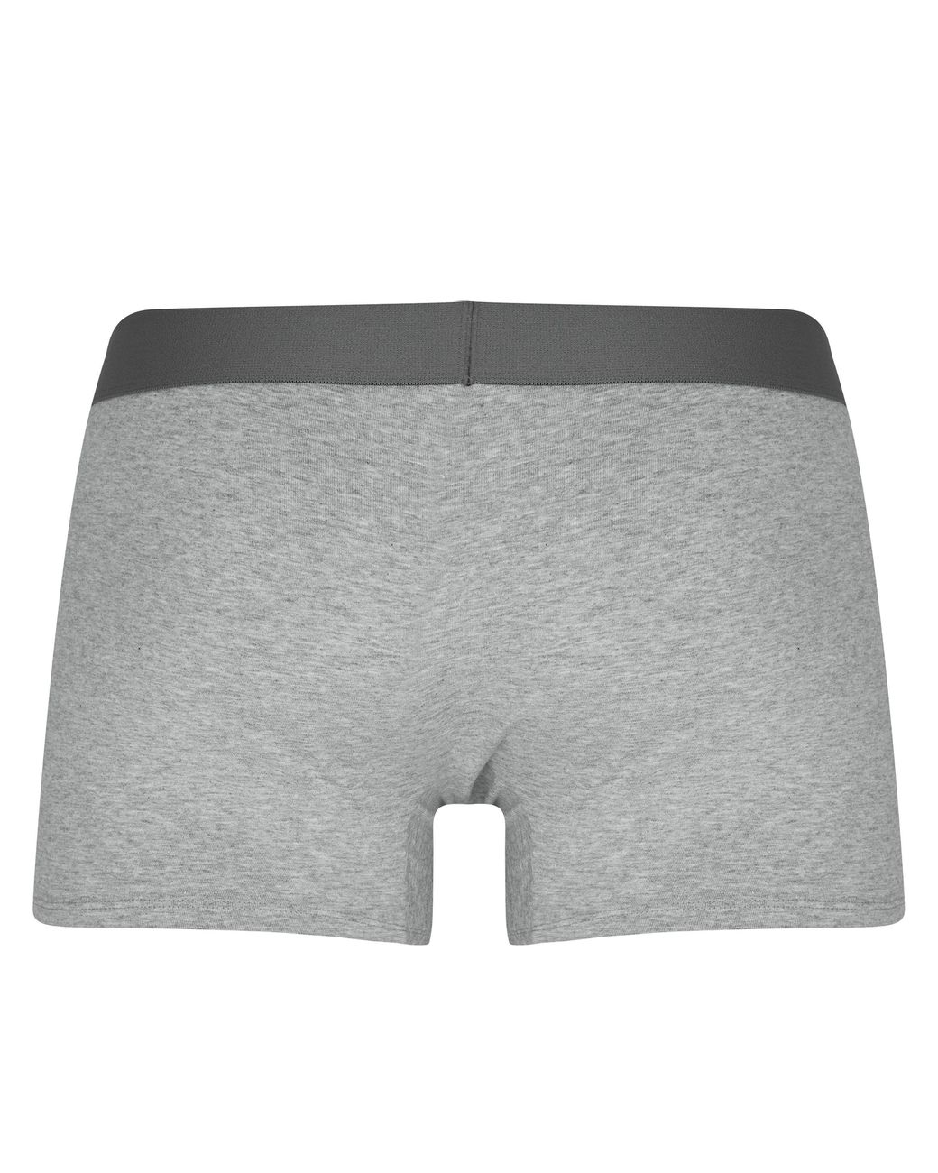 Firetrap Gray 2 Pack Trunks for men