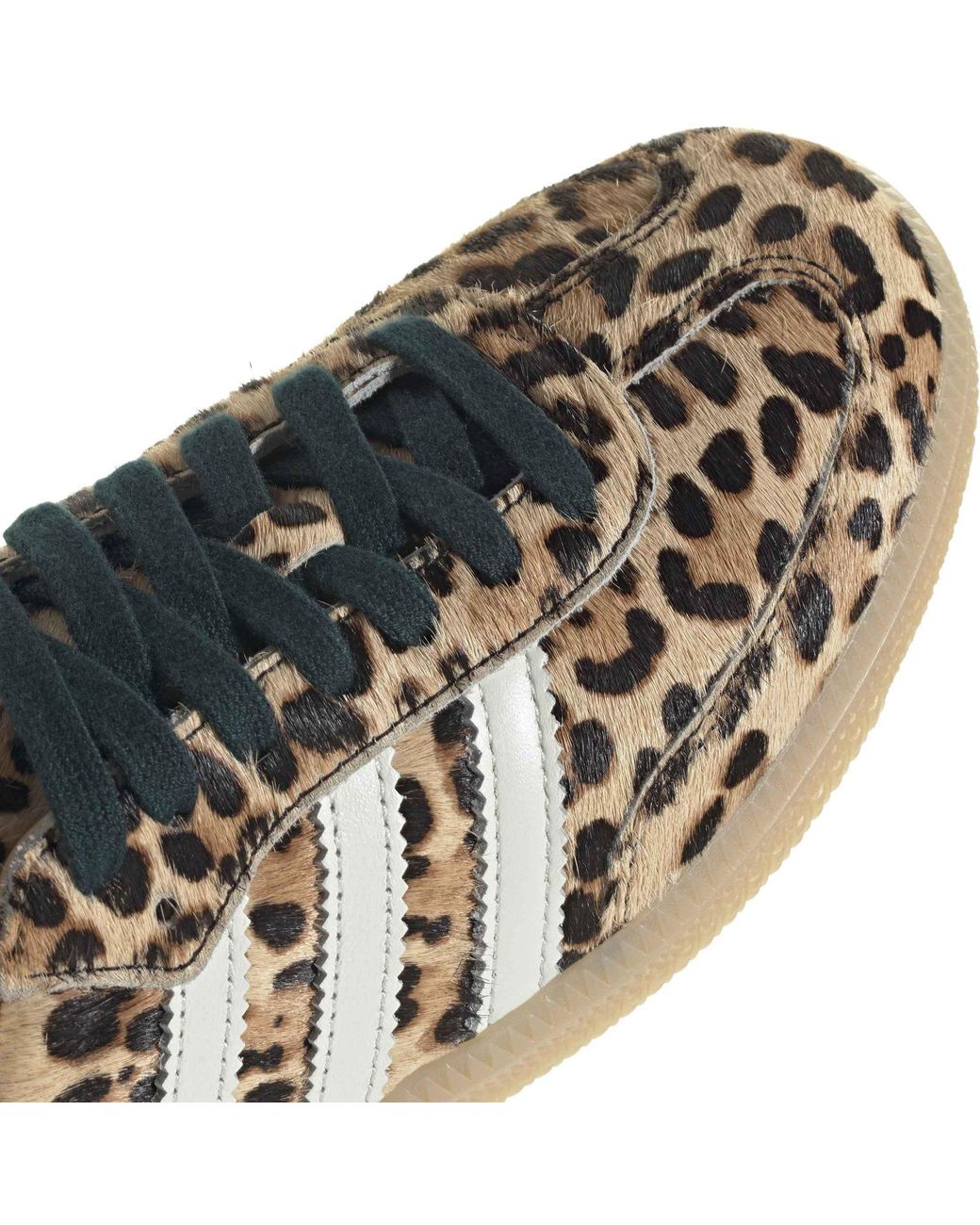 Adidas Originals Brown Samba Og Shoes