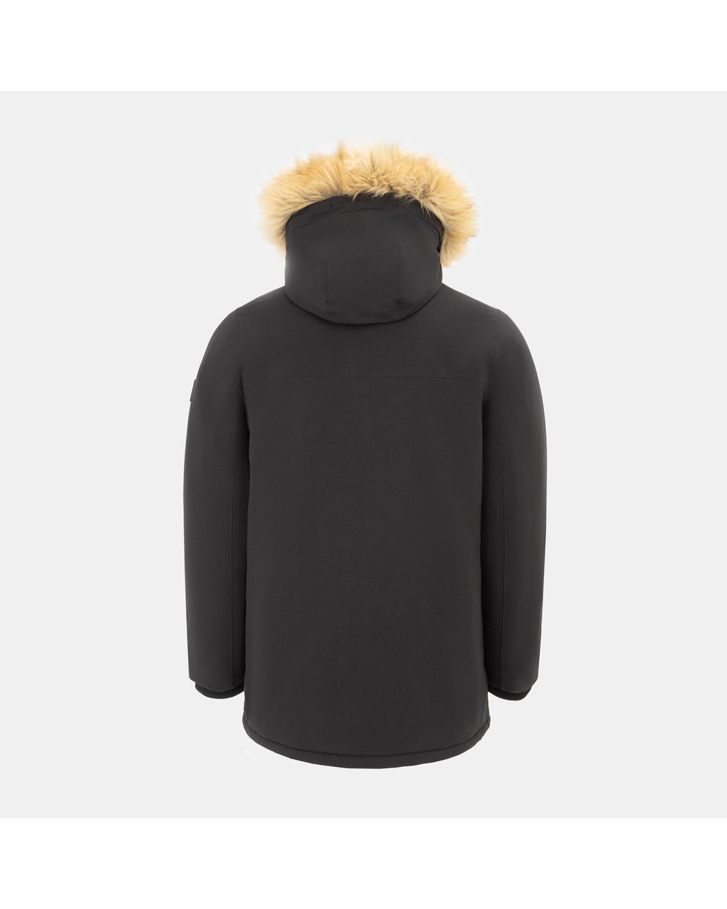 SoulCal & Co California Black Soul Padded Parka for men
