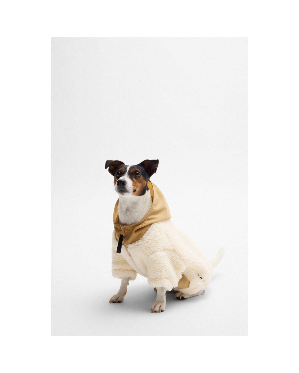 Boss Natural Dog Fleece Jacket With Double B Monogram