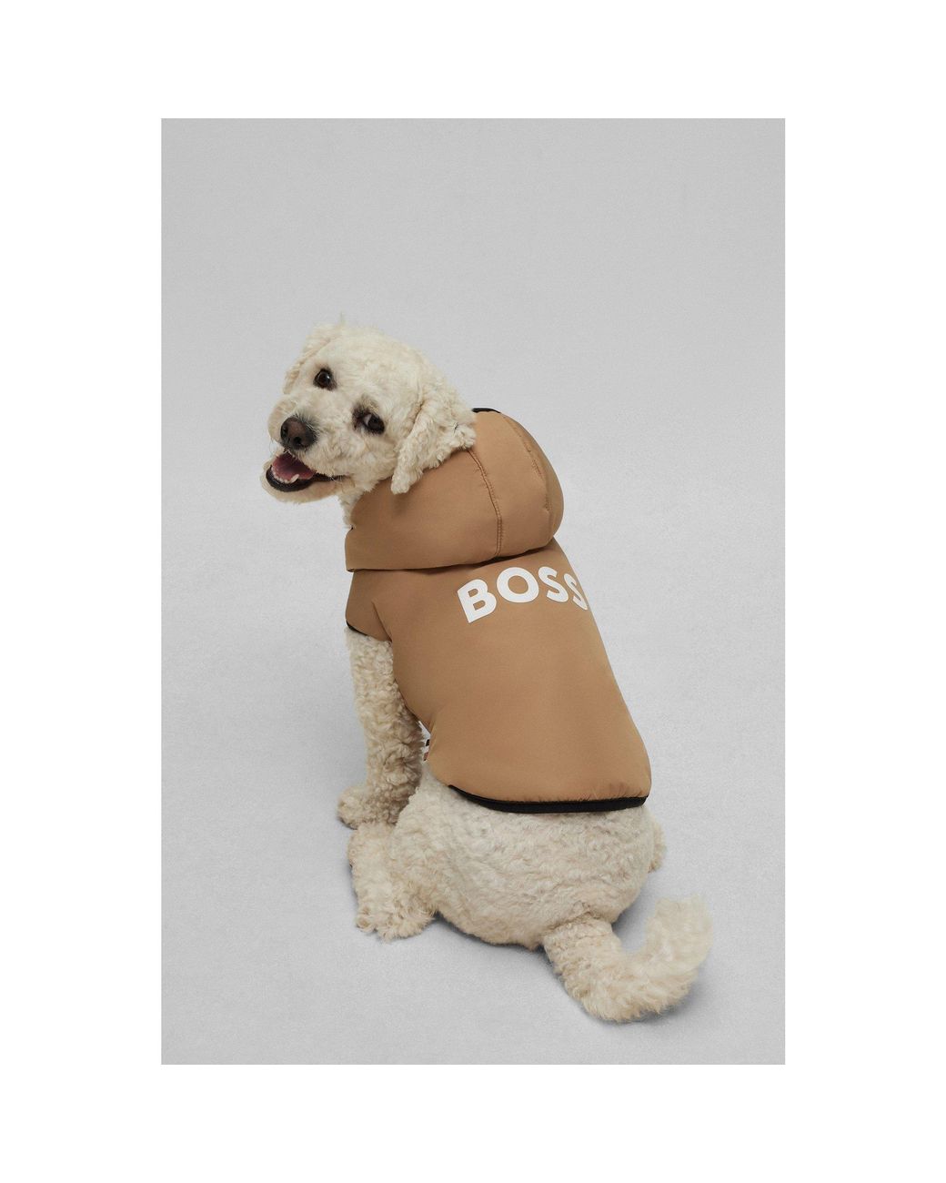 Boss Natural Dog Lightweight Jacket With Logo Detailing