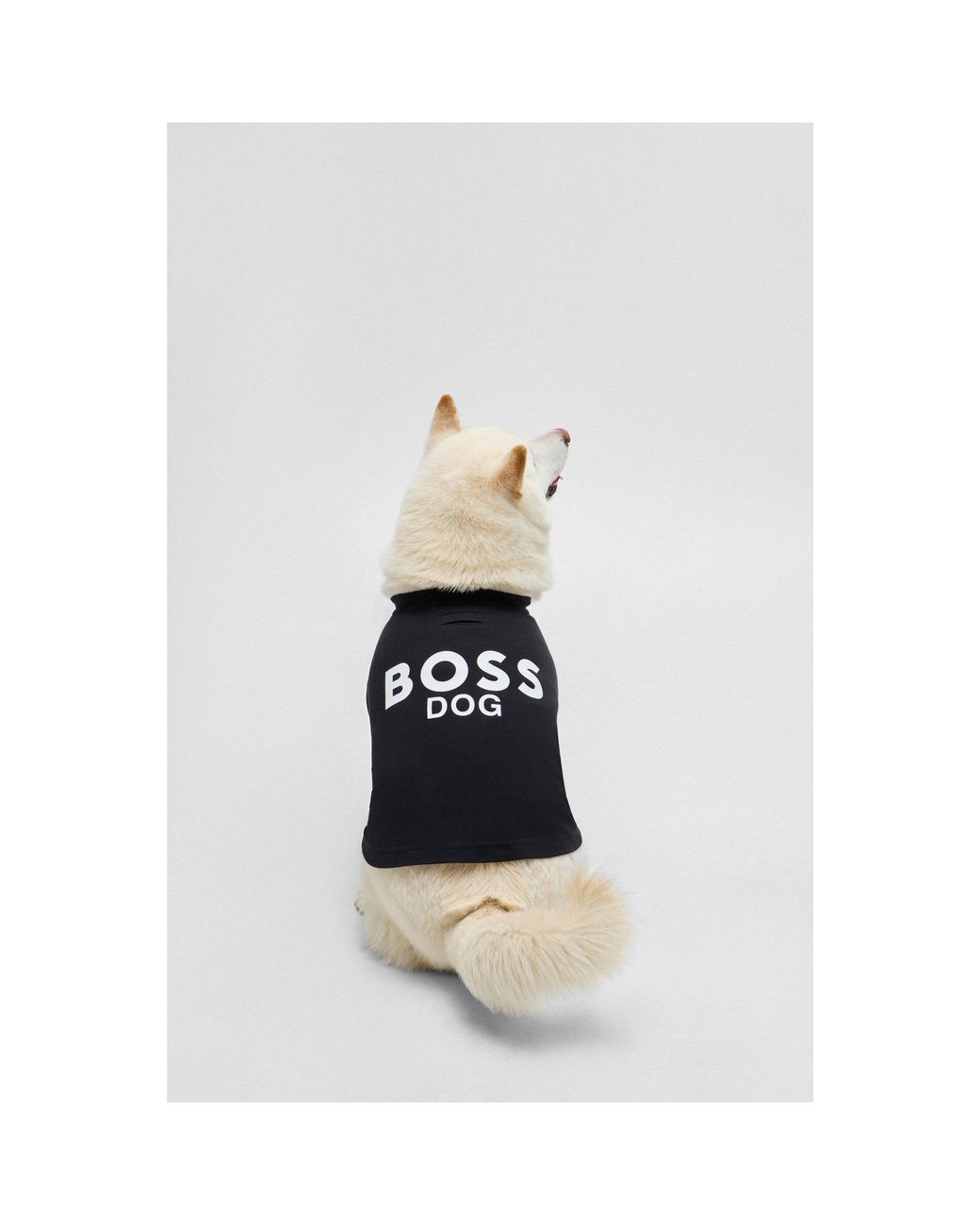 Boss Blue Dog T-Shirt