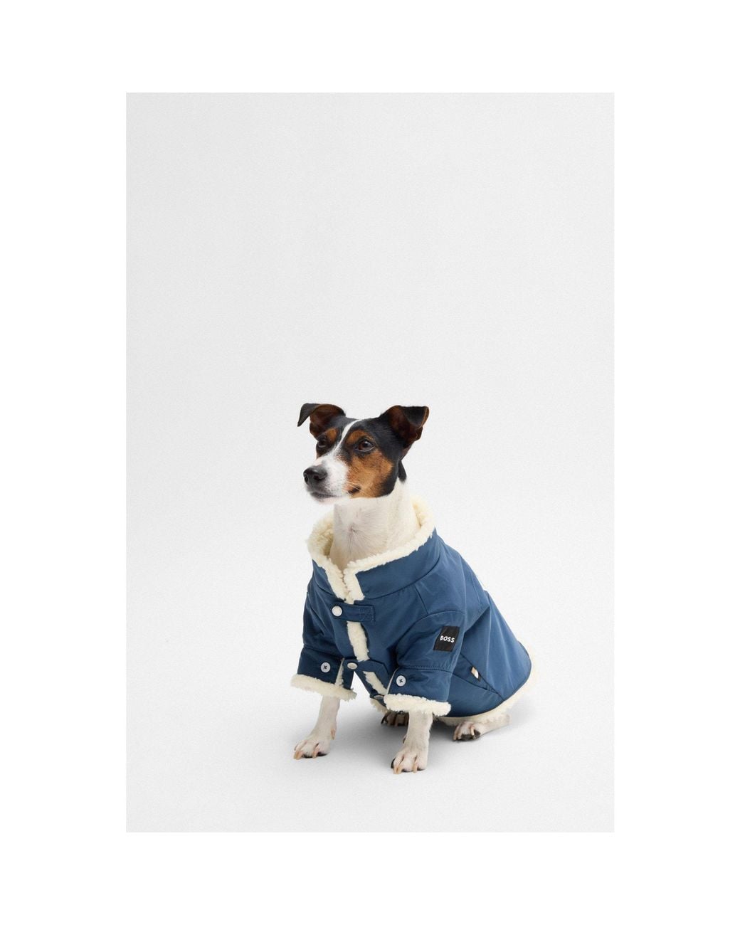 Boss Blue Dog Parka Jacket With Contrast Logo