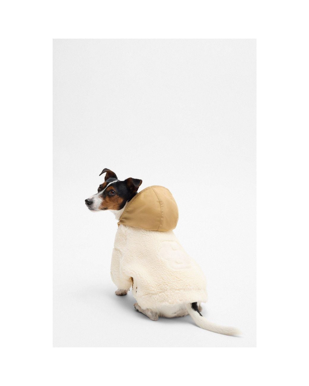 Boss Natural Dog Fleece Jacket With Double B Monogram