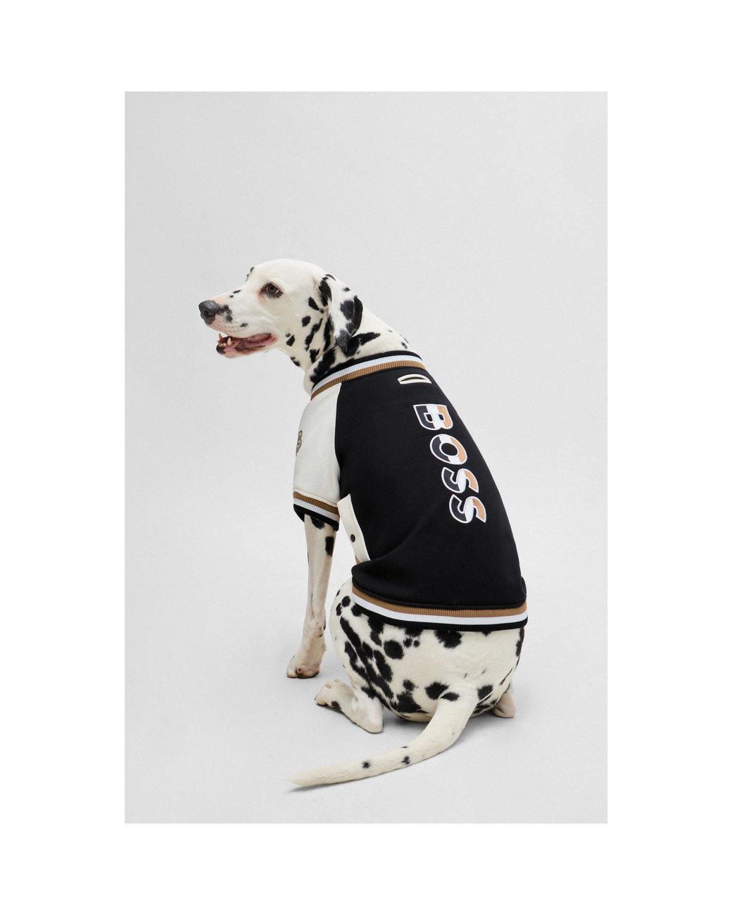 Boss White Dog Bomber Jacket With Embroidered Logo