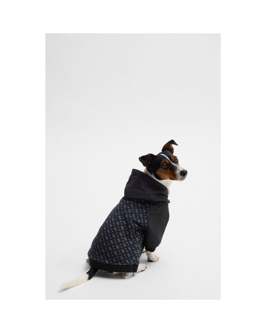 Boss Black Dog Hoodie With Monogram Pattern