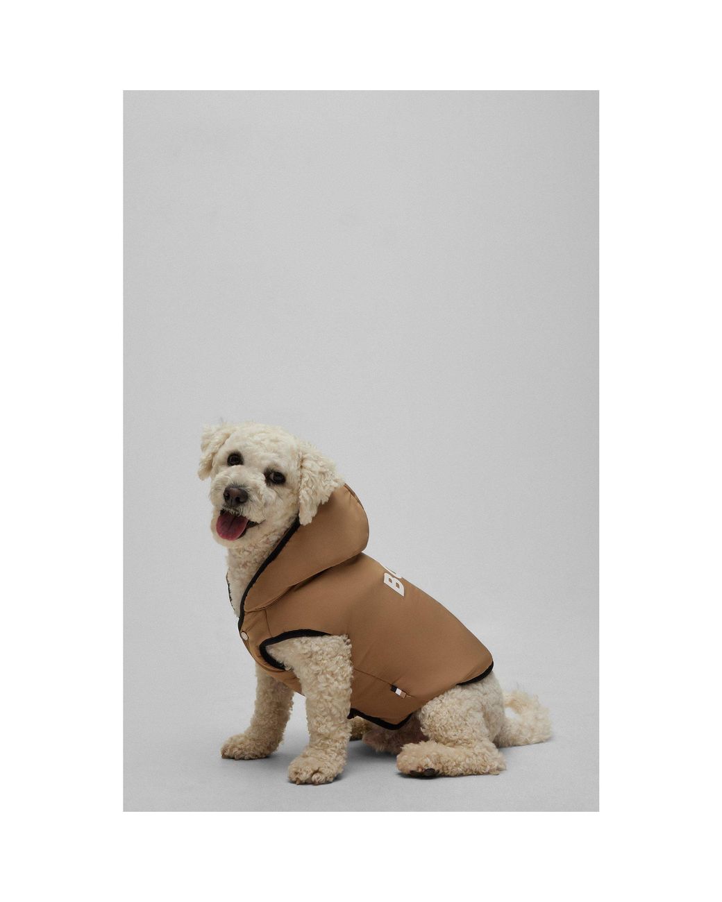 Boss Natural Dog Lightweight Jacket With Logo Detailing