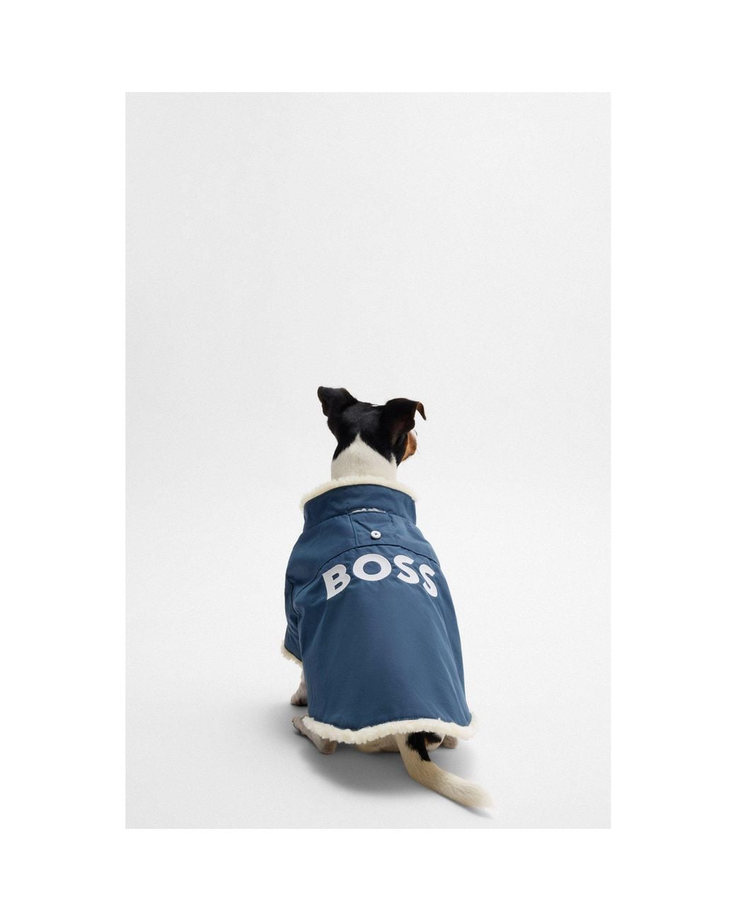 Boss Blue Dog Parka Jacket With Contrast Logo