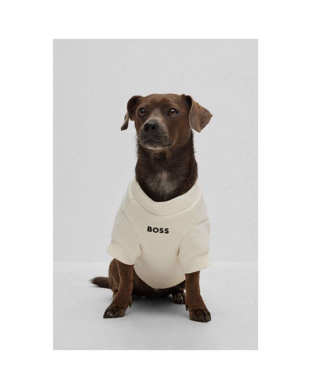 Boss White Dog T-Shirt