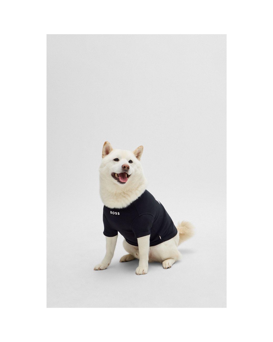 Boss Blue Dog T-Shirt