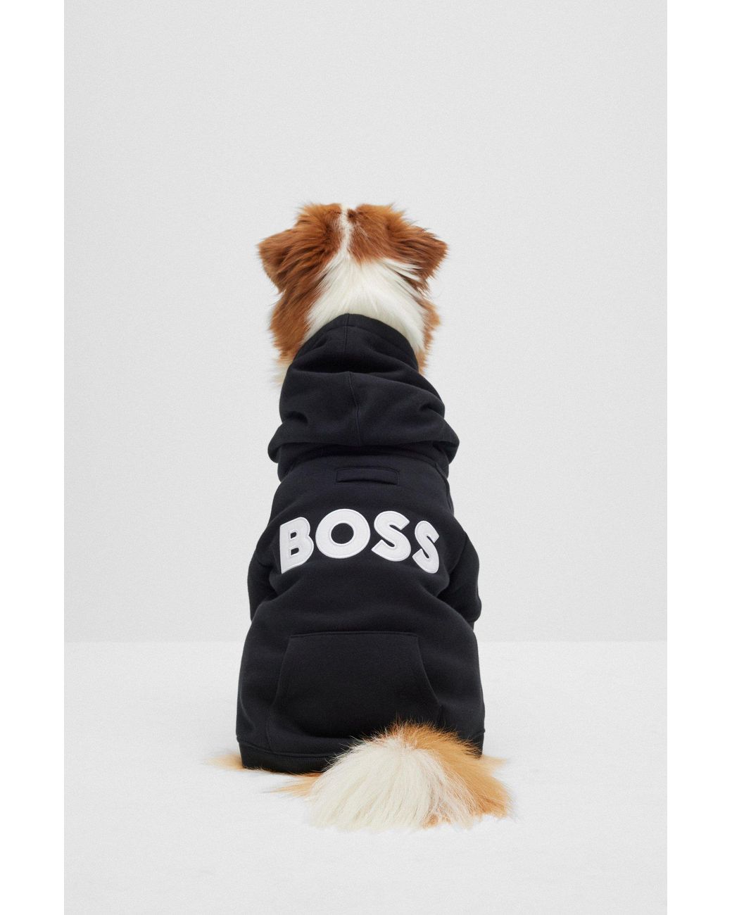 Boss White Dog Hoodie