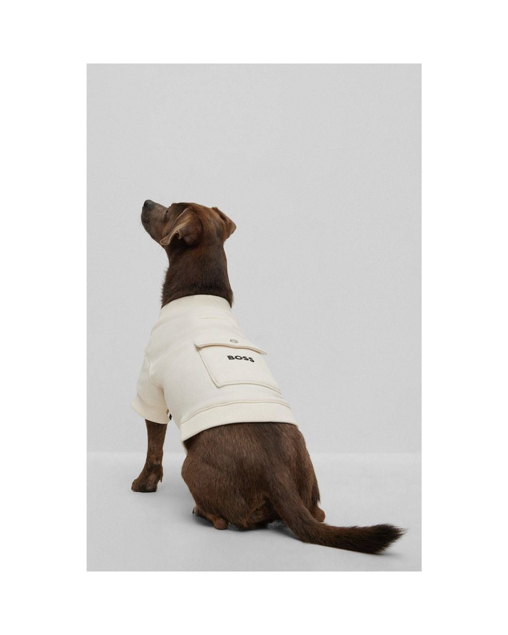 Boss White Dog T-Shirt