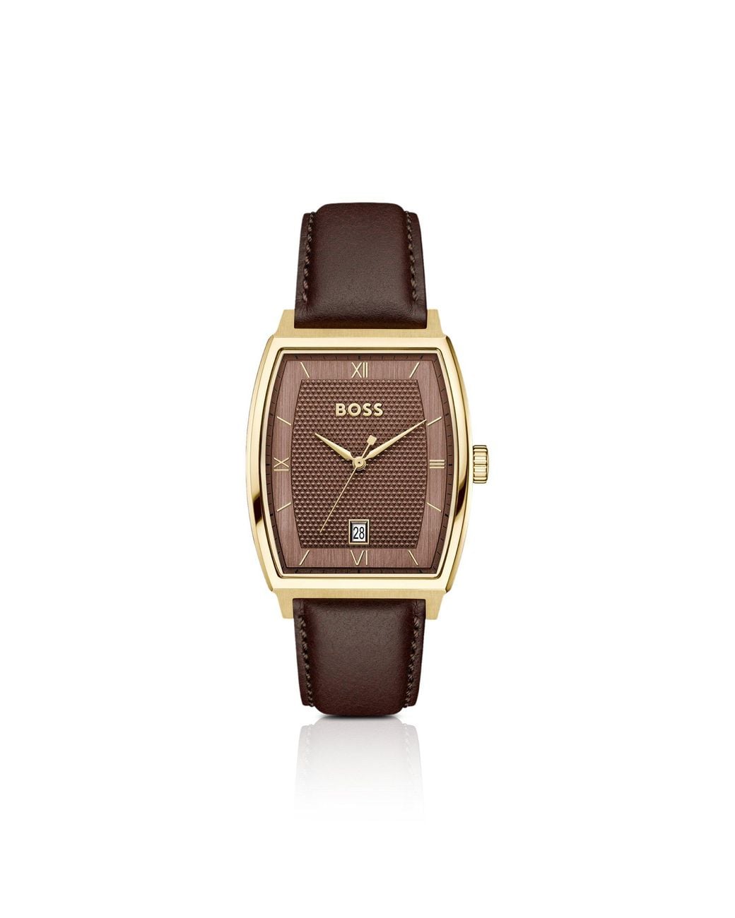 Boss Brown Principle Ark Watch With Textured Dial for men
