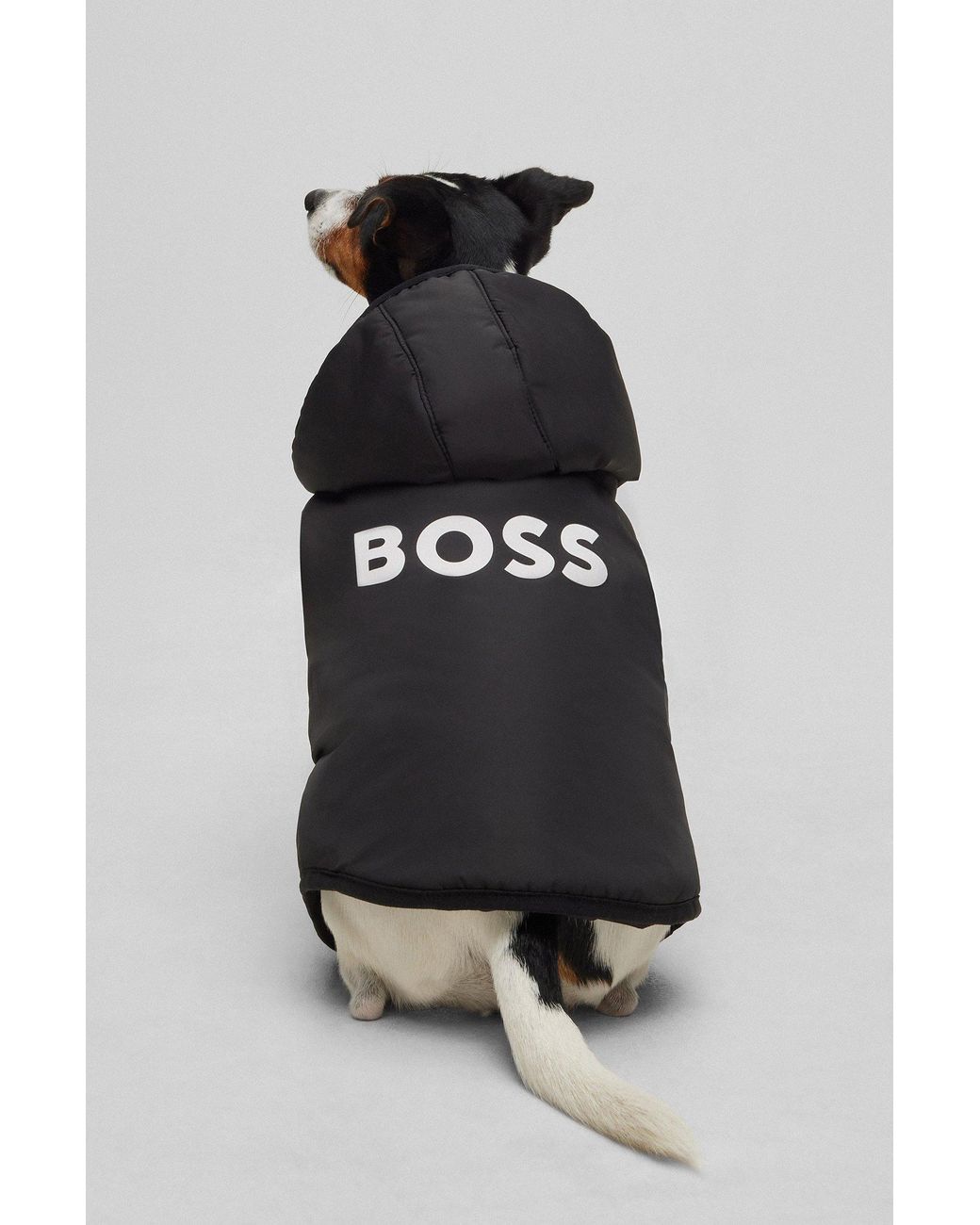 Boss Black Dog Lightweight Jacket With Logo Detailing