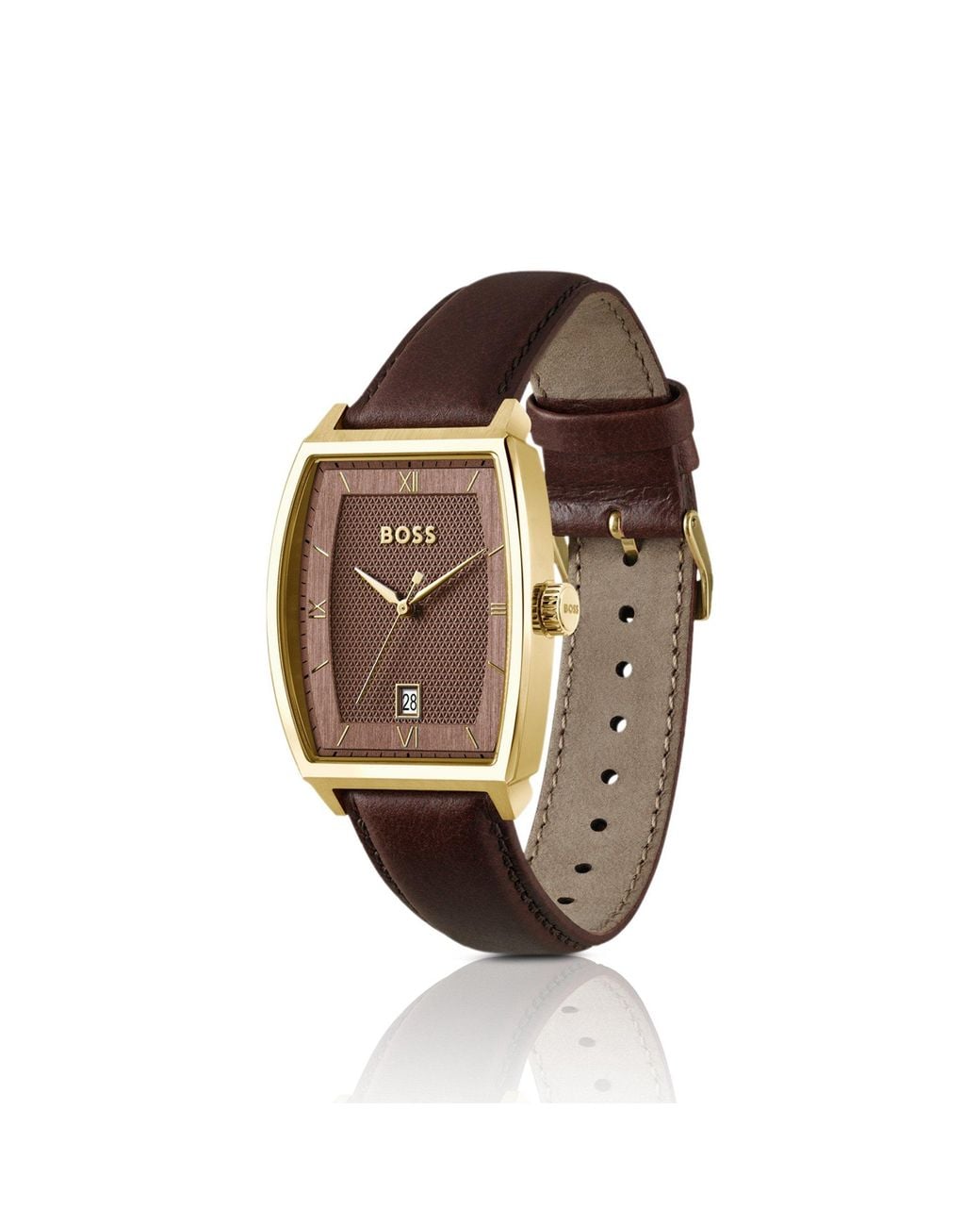 Boss Brown Principle Ark Watch With Textured Dial for men