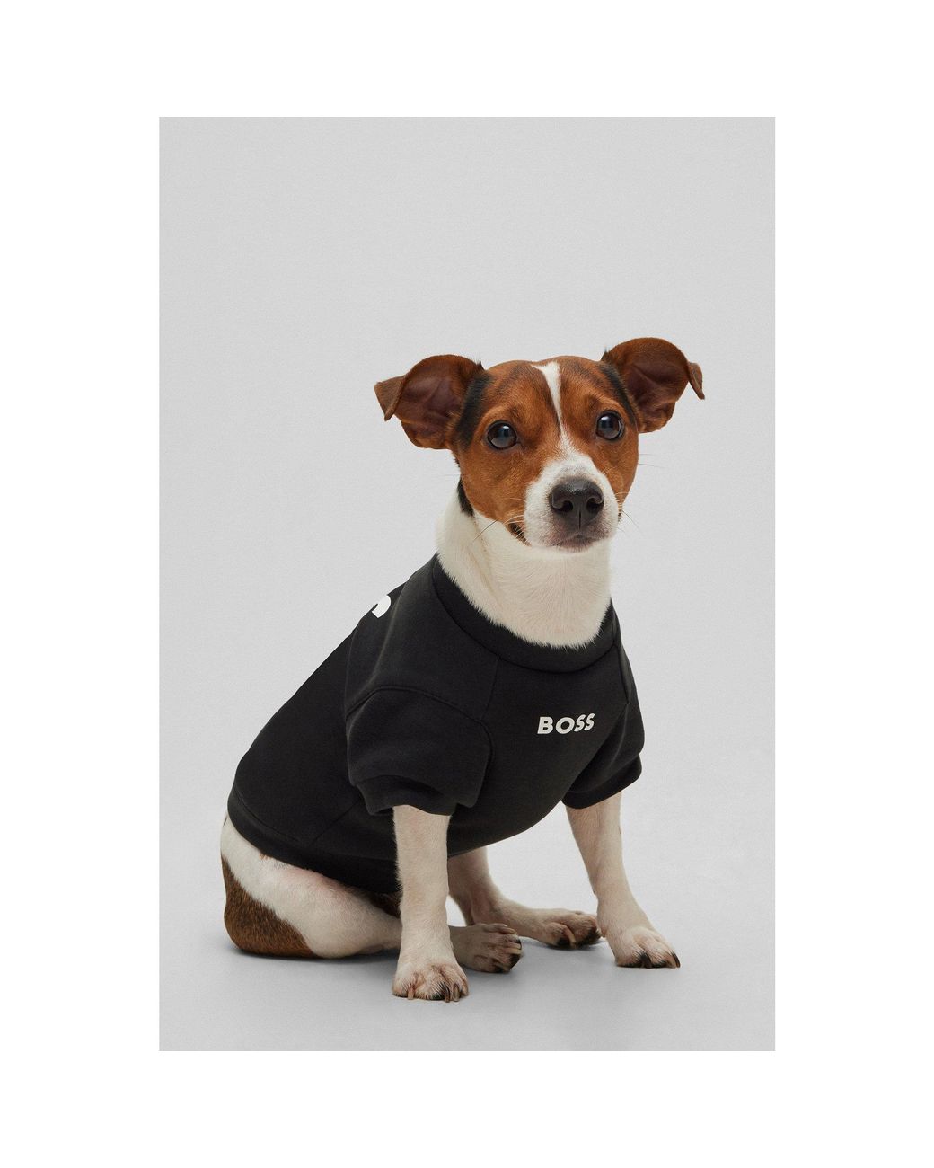 Boss Black Dog T-Shirt