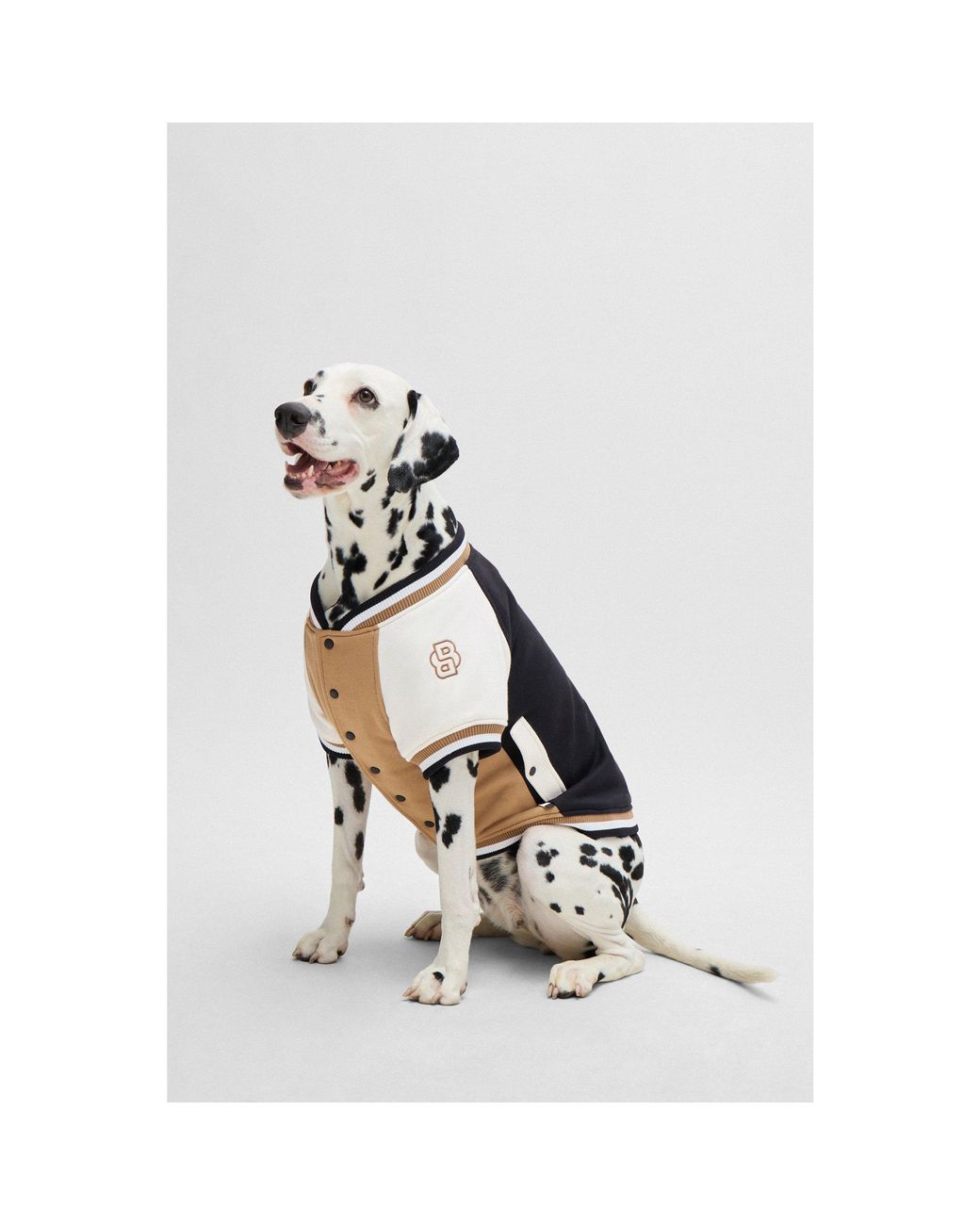 Boss White Dog Bomber Jacket With Embroidered Logo