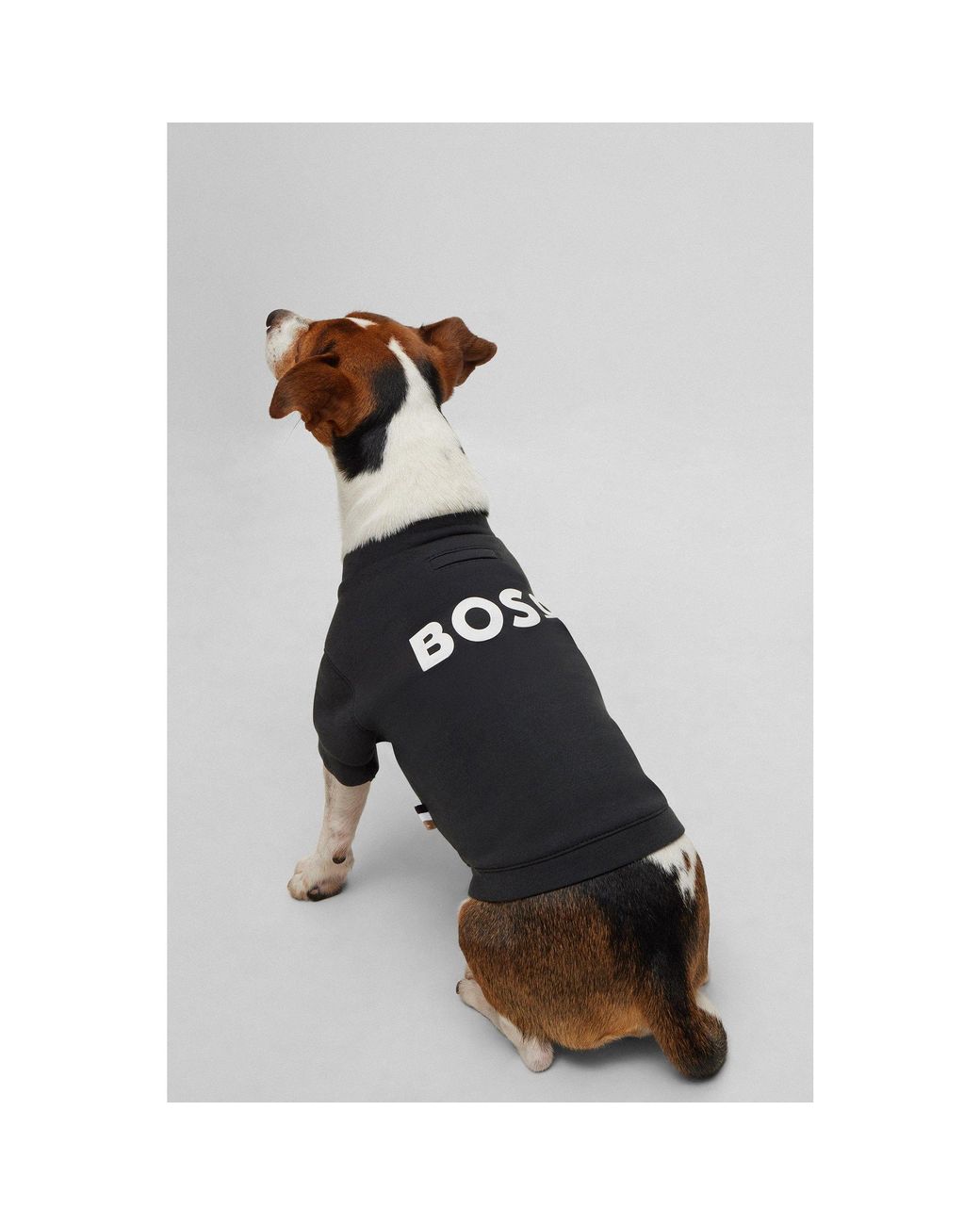Boss Black Dog T-Shirt