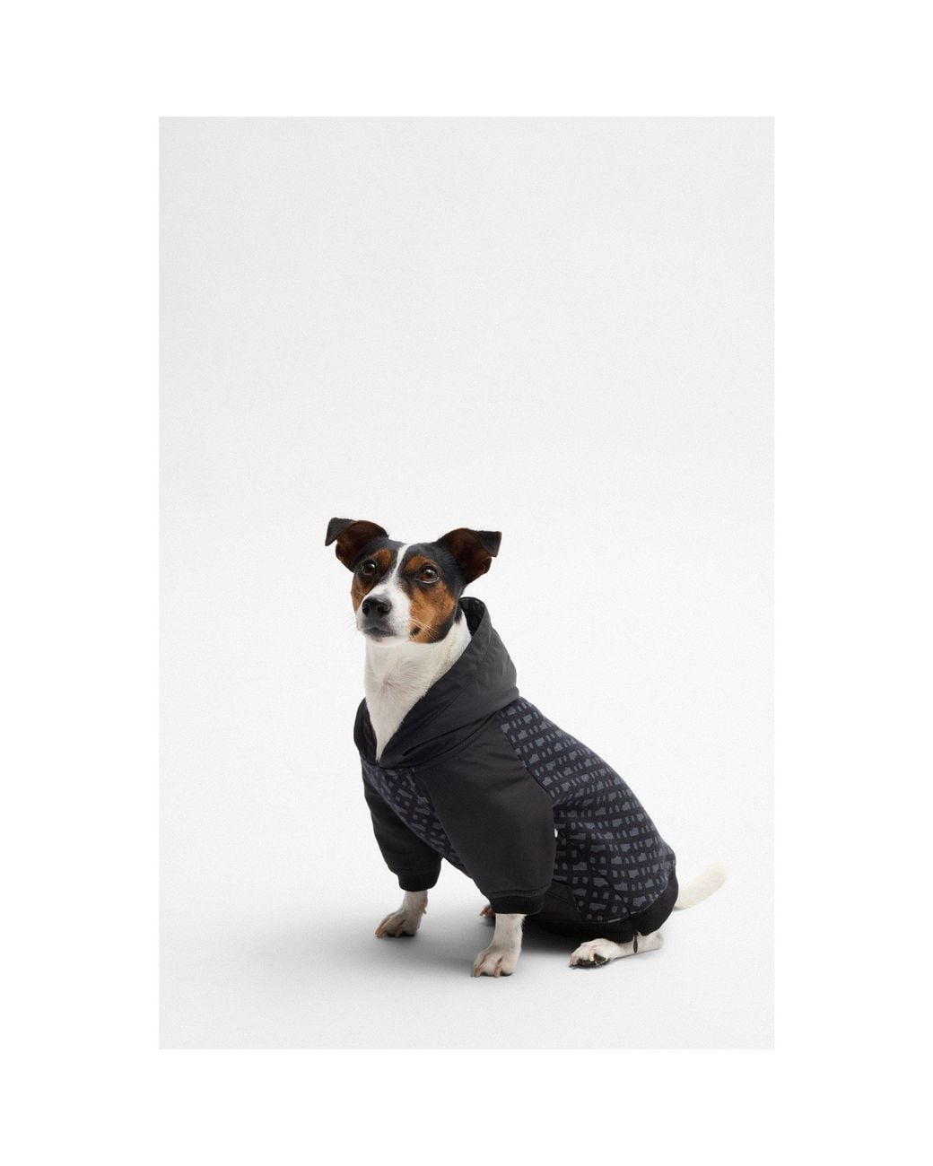 Boss Black Dog Hoodie With Monogram Pattern