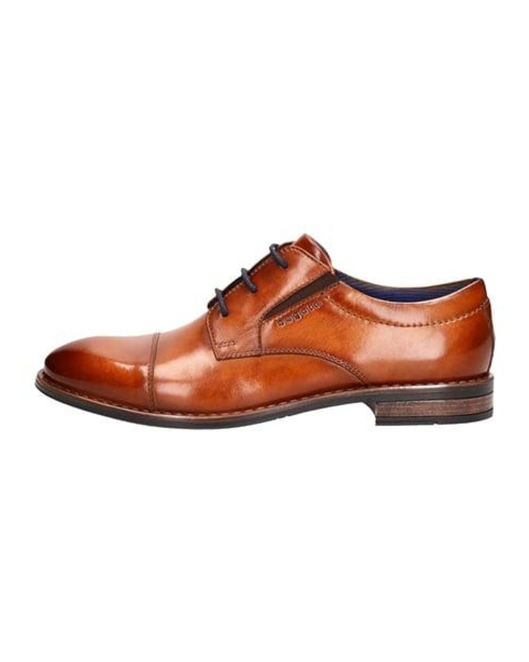 Bugatti Schnürer Elegant in Brown für Herren