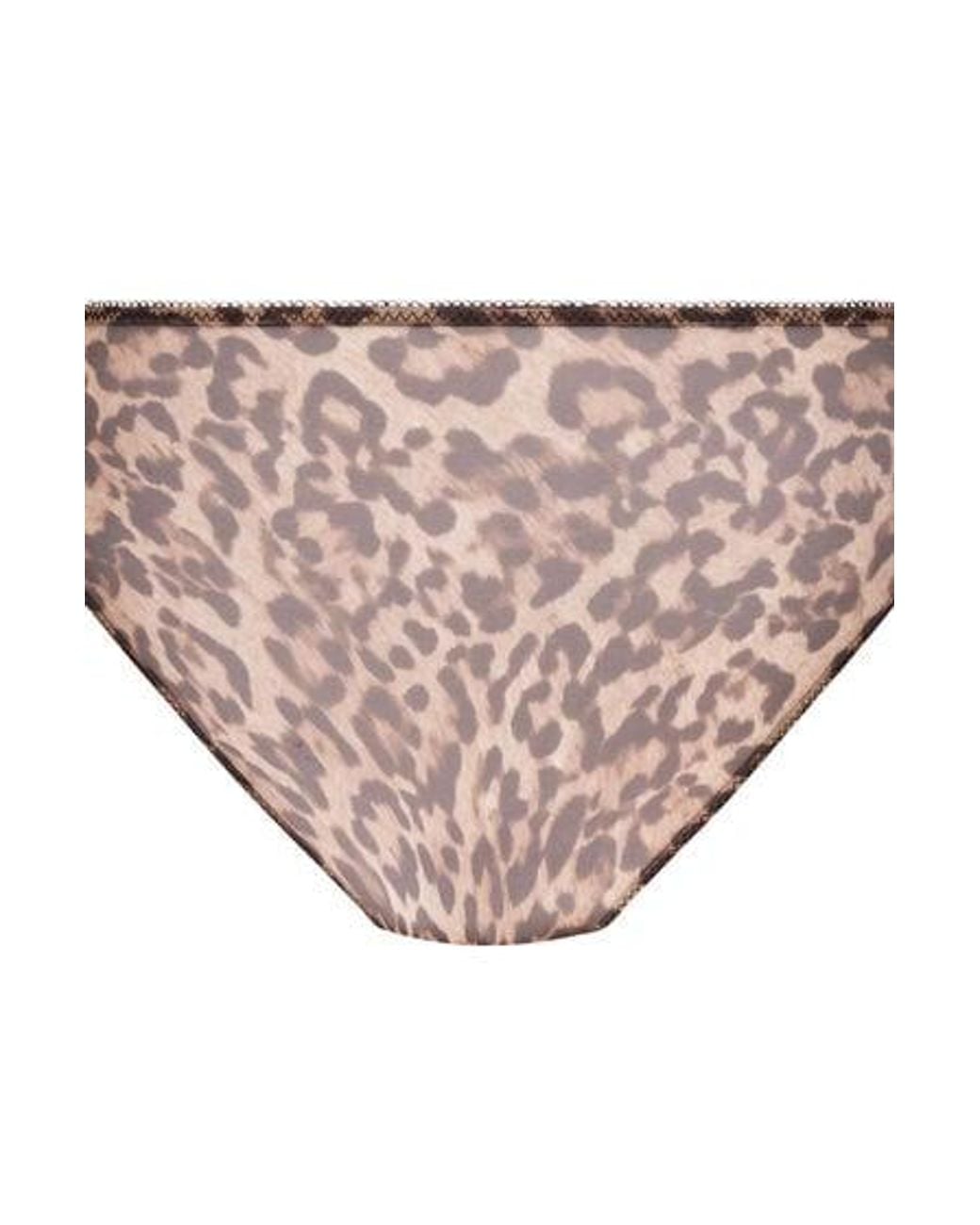 Hunkemöller Brown Diva Non-Padded Underwired Bra