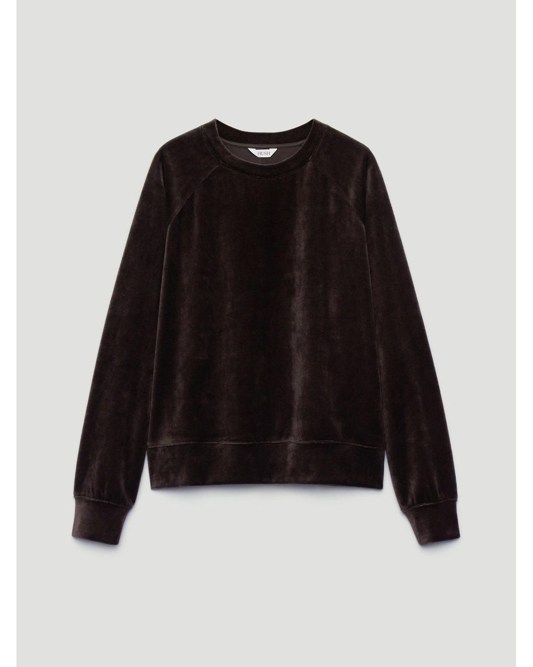 Hush Brown Aarti Velour Sweatshirt