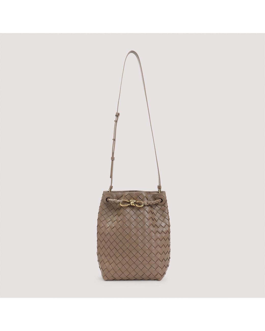 Bottega Veneta Natural Andiamo Bucket Bag