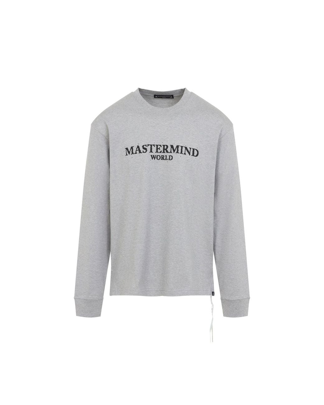 MASTERMIND WORLD Gray Noise Logo Long Sleeve T-Shirt for men