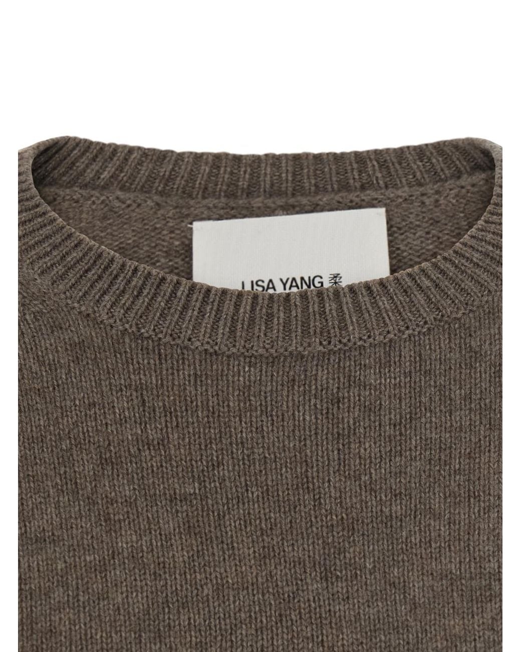 Lisa Yang Brown Sweater Veira Cashmere Knitted Tops