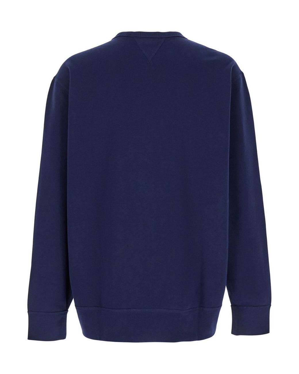 Polo Ralph Lauren Blue Sweatshirt With Embroidered Pony Logo for men