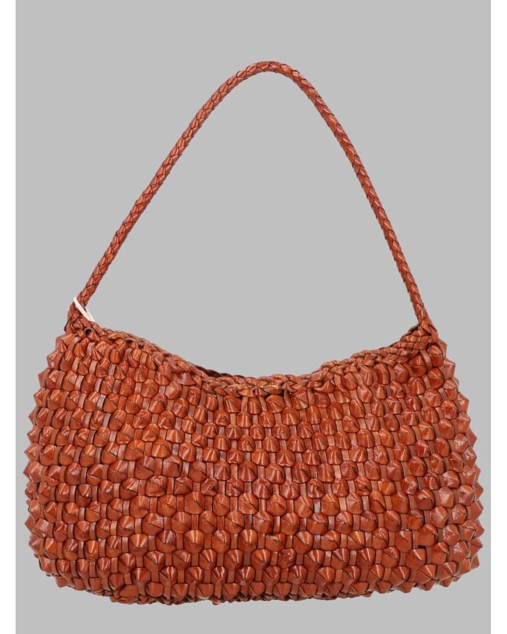 Dragon Diffusion Red Basil Cactus Leather Shoulder Bag