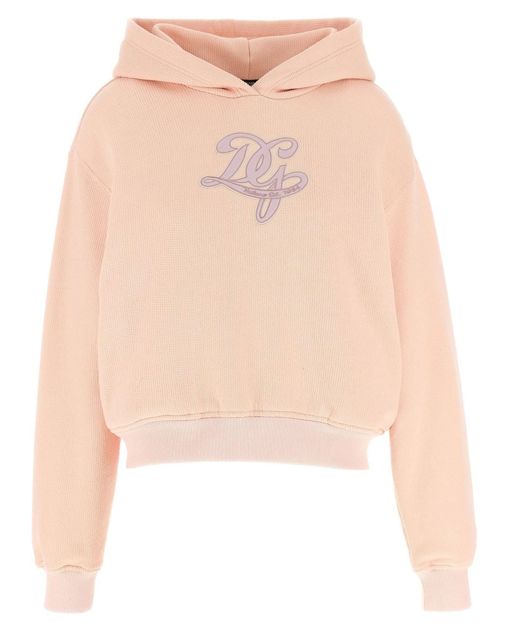 Dolce & Gabbana Natural Dolce & Gabbana Logo Embroidery Hoodie