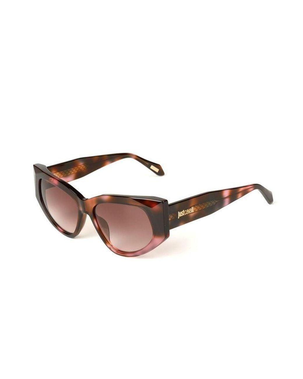 Just Cavalli Multicolor Sunglasses Havana- Acetate Eyewear