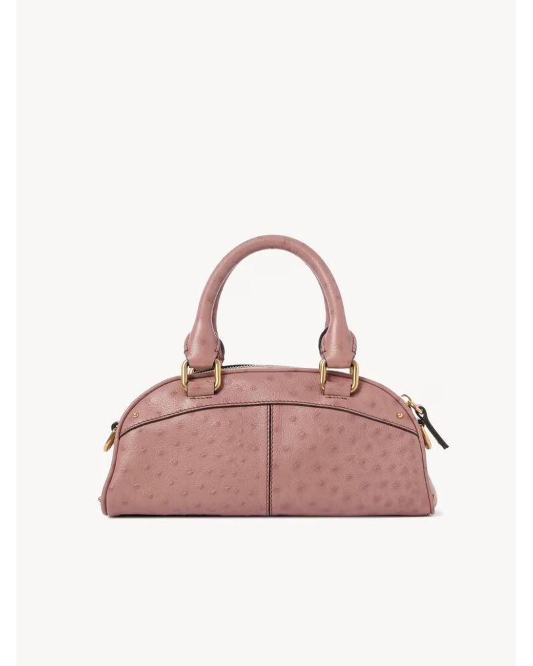Chloé Pink Chloé-Hardware Leather Shoulder Bag