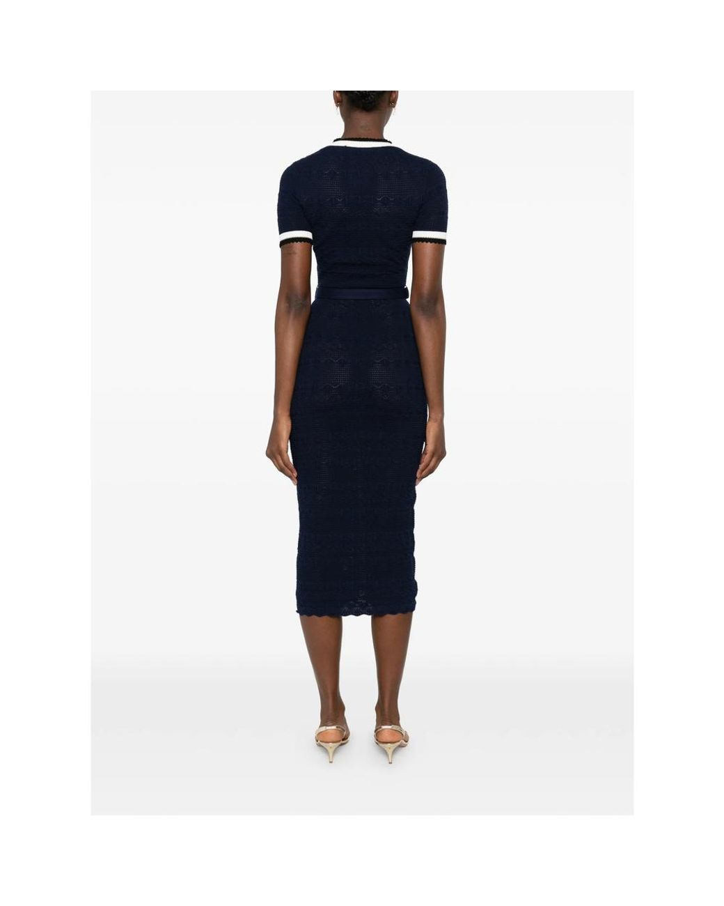 Self-Portrait Blue Dresses