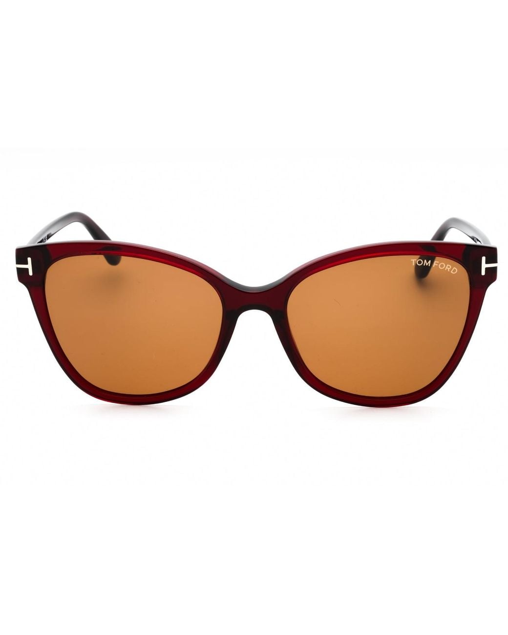 Tom Ford Black Tom Ford Ft0844Ani Cat-Eye Acetate Sunglasses — Burgundy