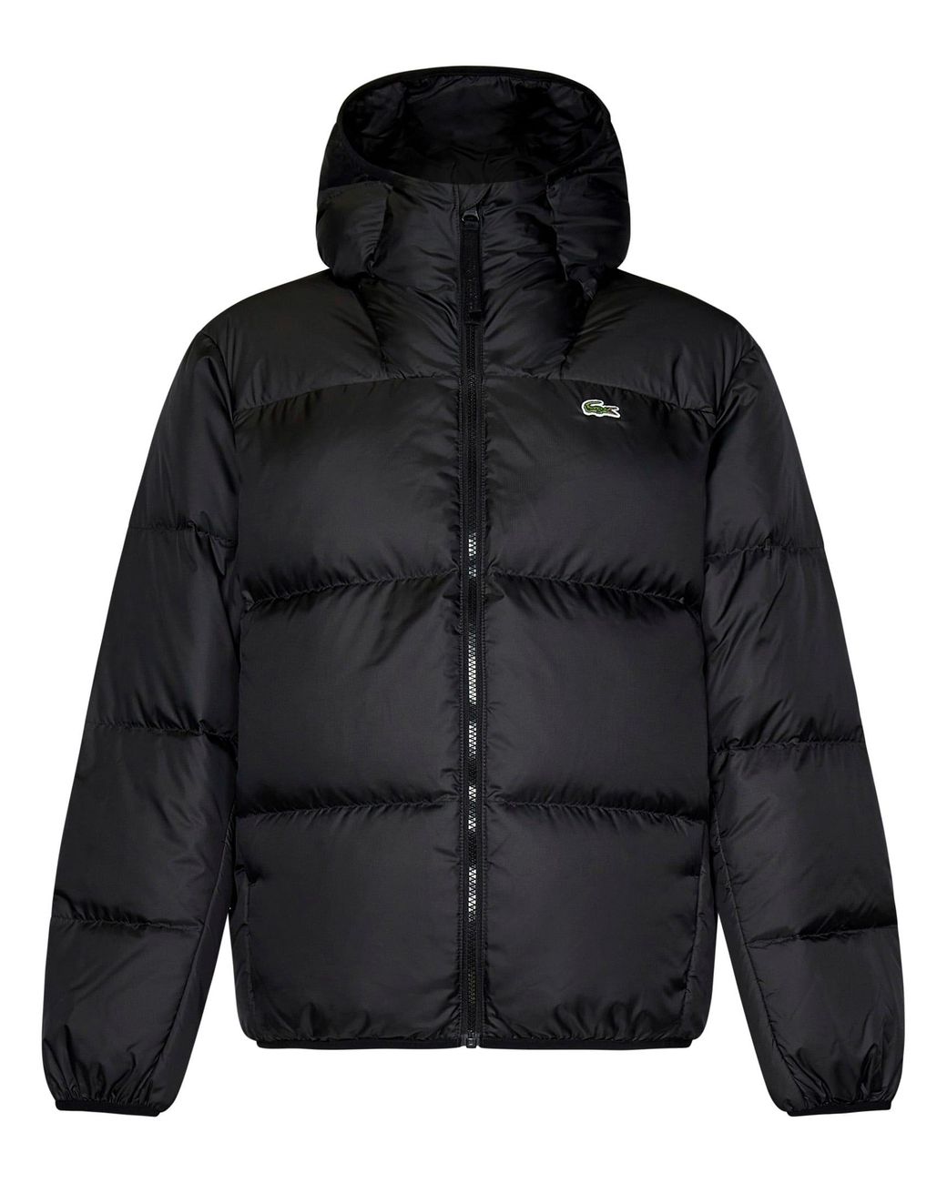 lacoste--Down-Jacket.jpeg
