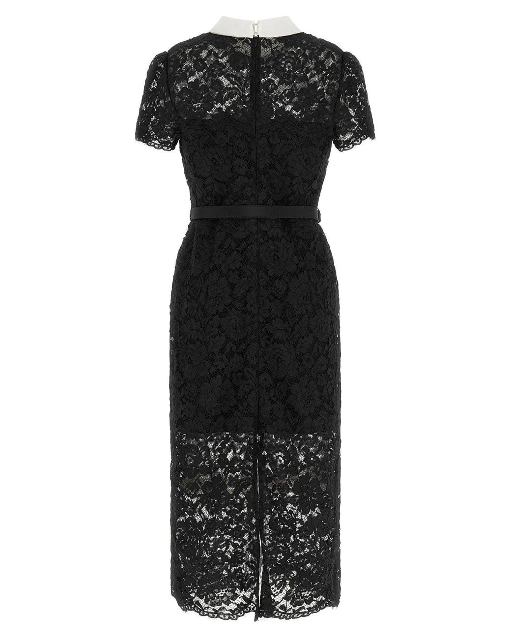 Self-Portrait Black Floral Lace With Contrast Collar Dress