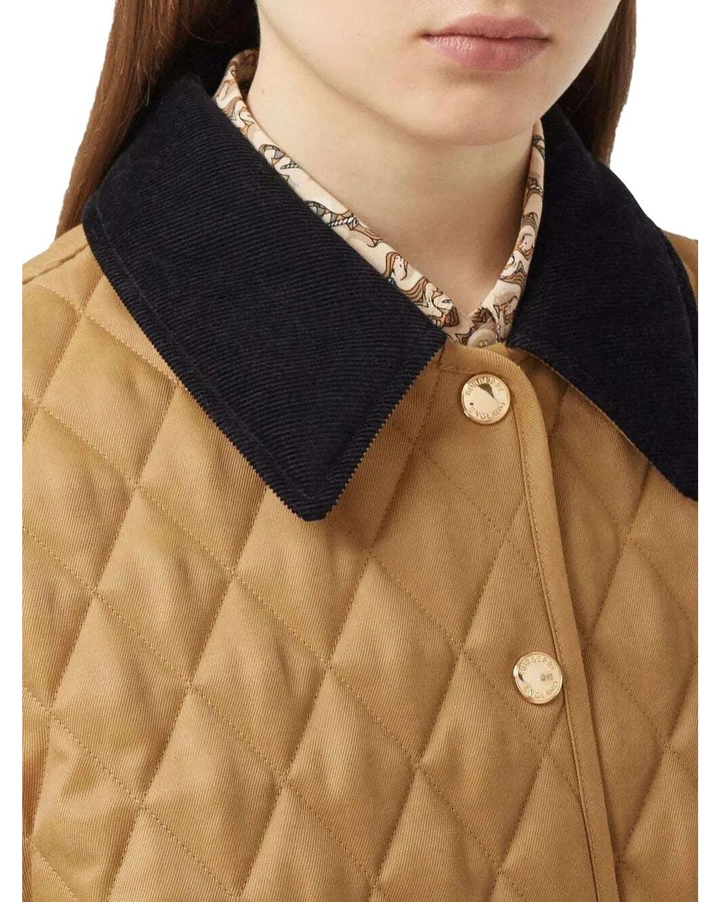 Burberry Multicolor Dranefeld Jacket Camel