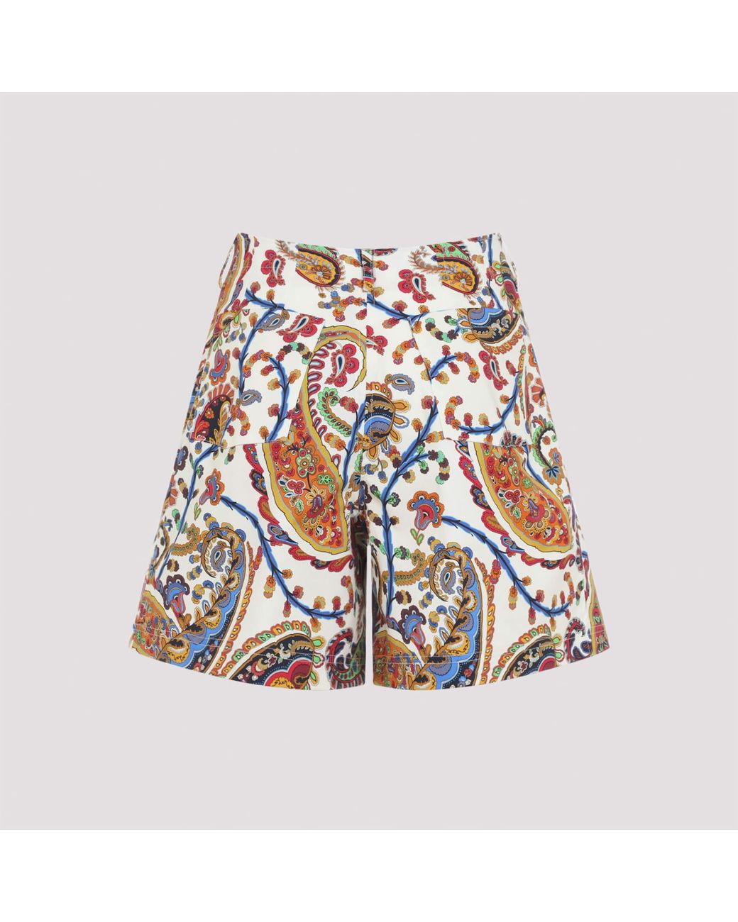 Etro Blue Shorts