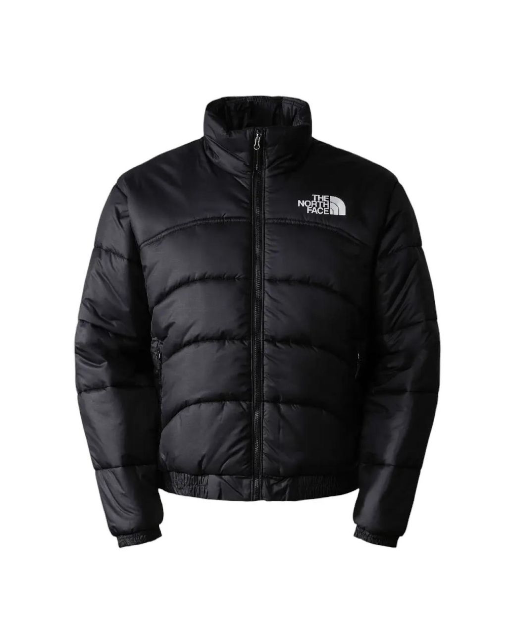 The North Face Black Tnf 2000 Logo Puffer Jacket Clothing Coats for men