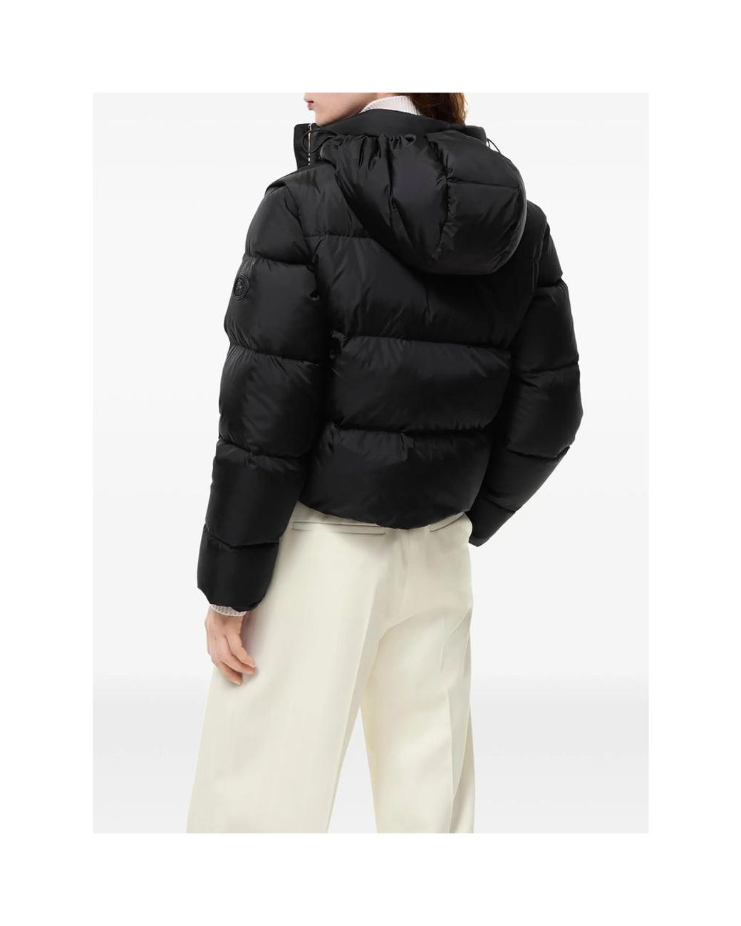 Burberry Black Detachable Sleeve Nylon Langdale Puffer Jacket